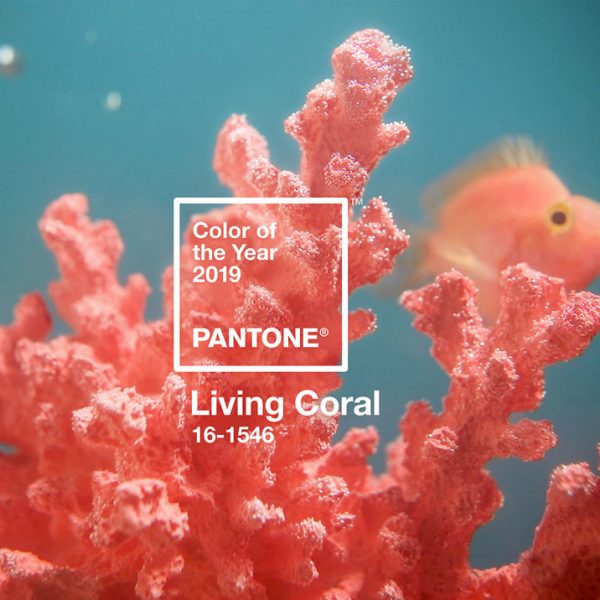 couleur année pantone 2019 living coral décoration intérieure - blog déco - clem around the corner