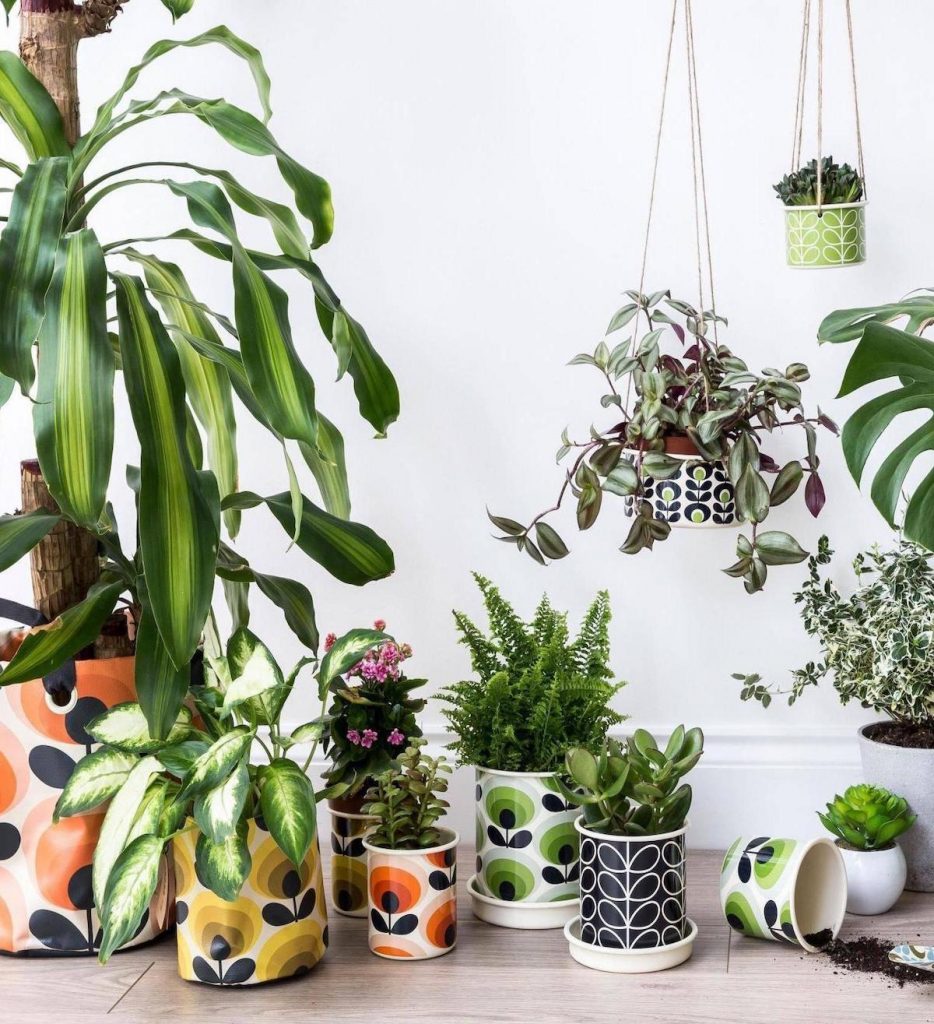 style rétro jardinage pots plantes - blog déco - clem around the corner