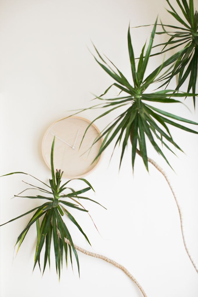 petit appartement minimaliste horloge plantes blog déco clem around the corner