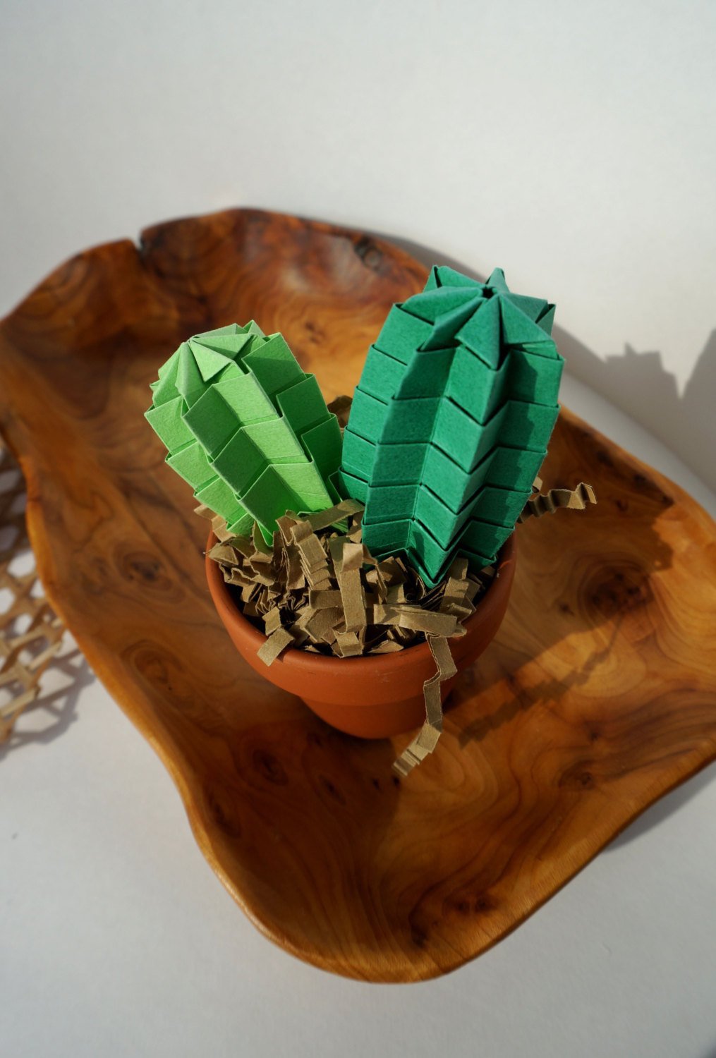 cactus en carton vert