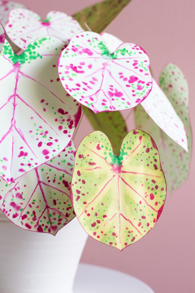 plante en papier diy fini décoration - blog déco - clem around the corner