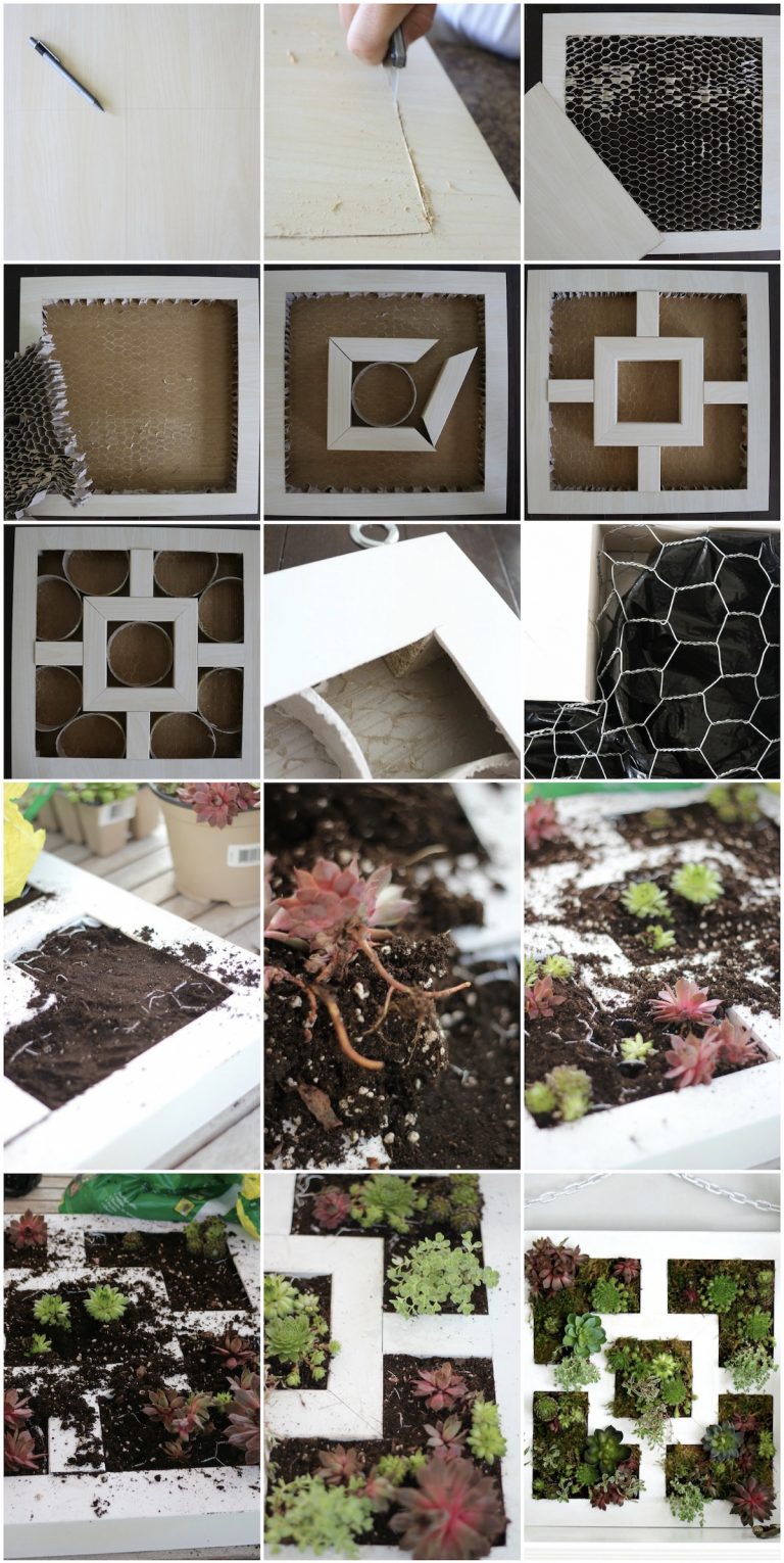 créer un tableau mur de plantes pour l'intérieur - blog déco - clem around the corner