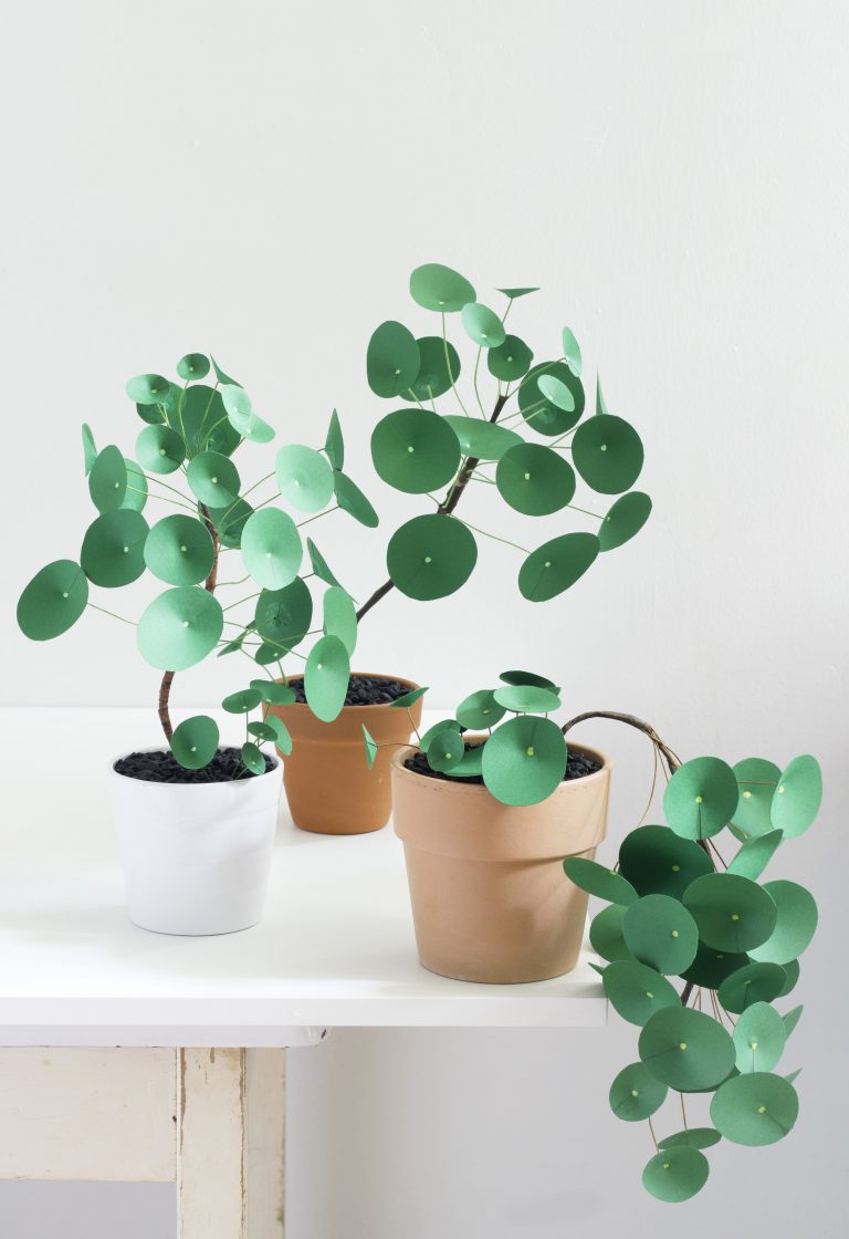 plante en papier diy pilea planter tige dans le pot - blog déco - clem around the corner