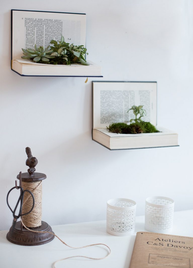 idée déco récup support plante grasse - blog déco - clem around the corner