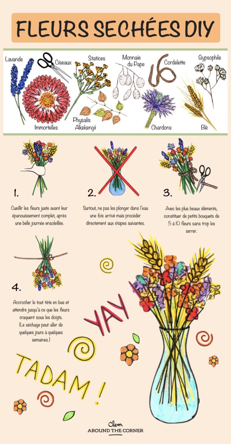 fleurs séchées diy infographie bouquet - blog déco - clem around the corner