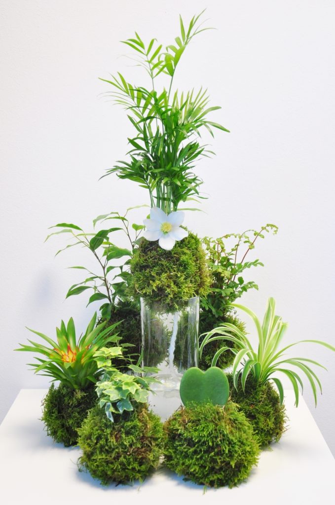 comment faire un kokedama composition floral original plantes fleurs végétal - blog déco - clem around the corner