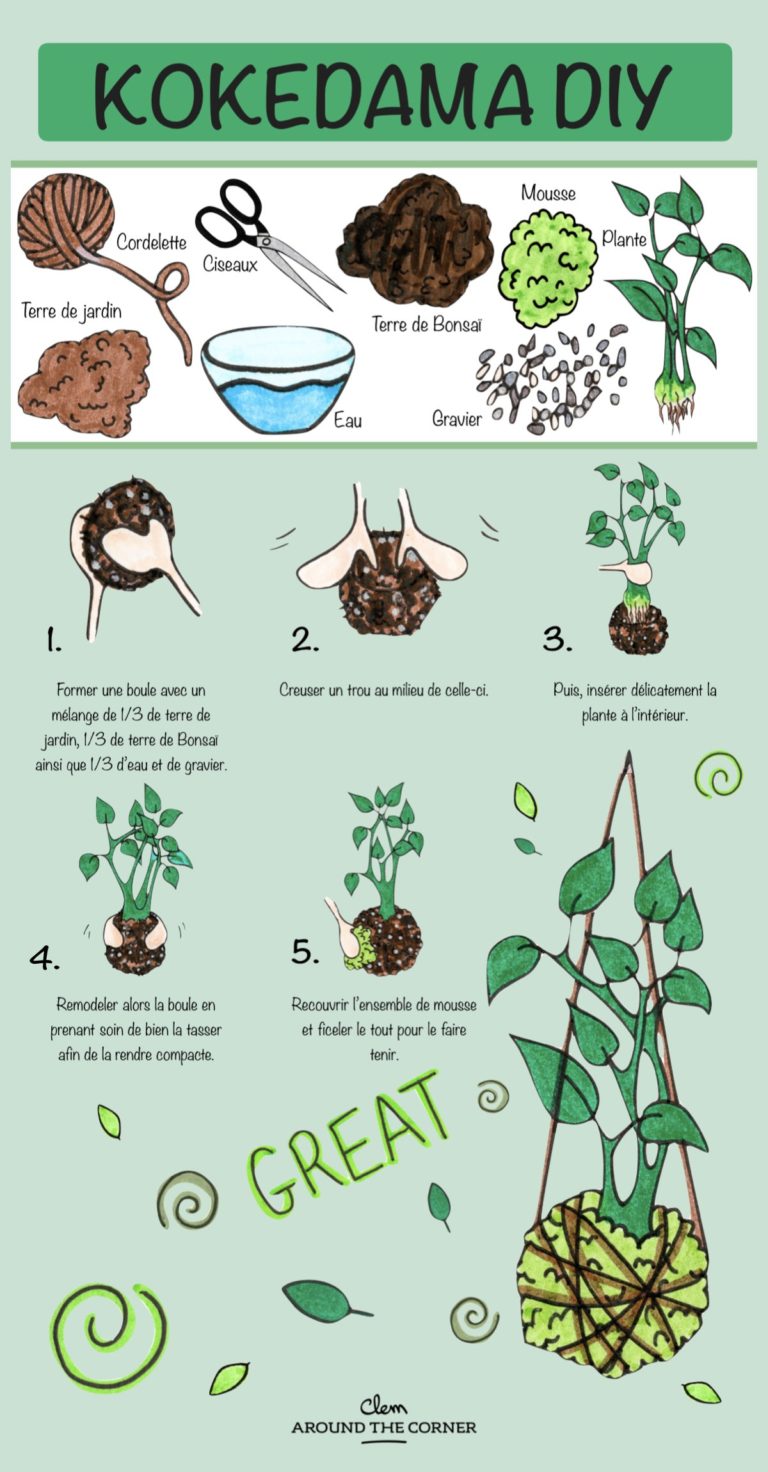 comment faire un kokedama tuto diy infographie - blog déco - clem around the corner
