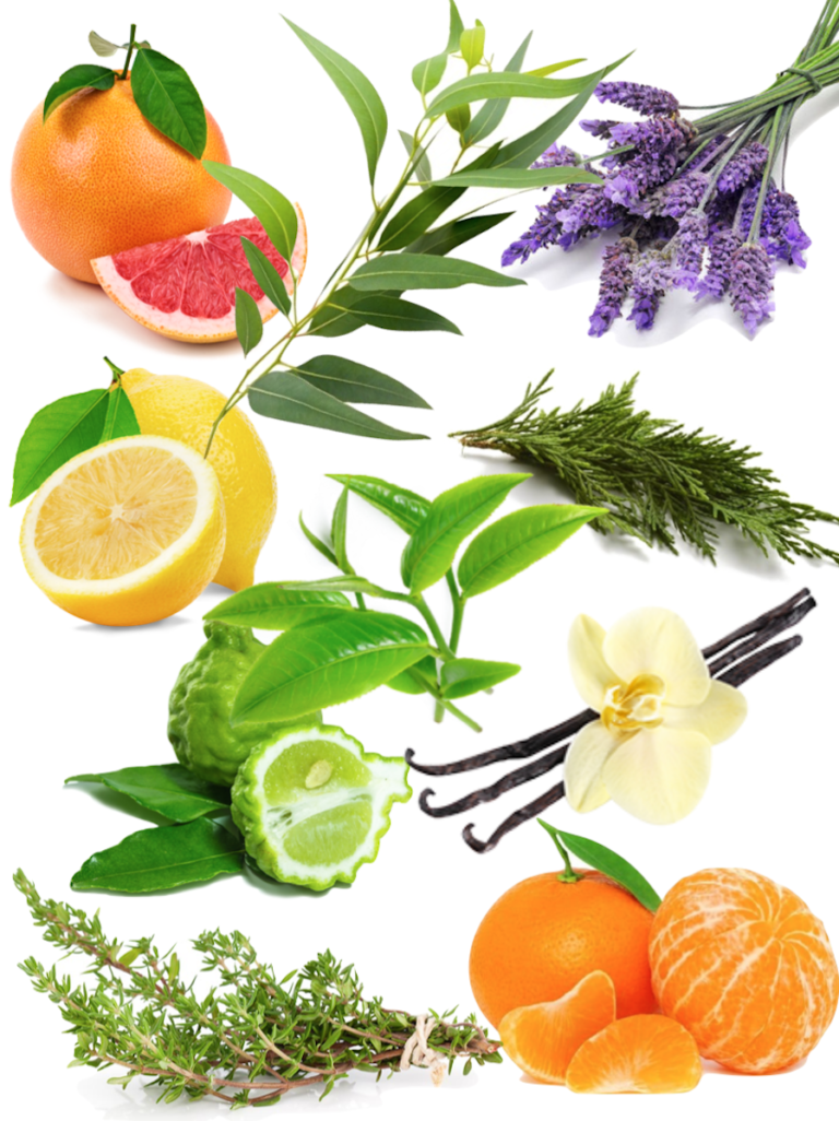 huiles essentielle pour diy bombe de bain bio citron cyprès vert lavande mandarine pamplemousse tea tree - blog déco - clemaroundthecorner