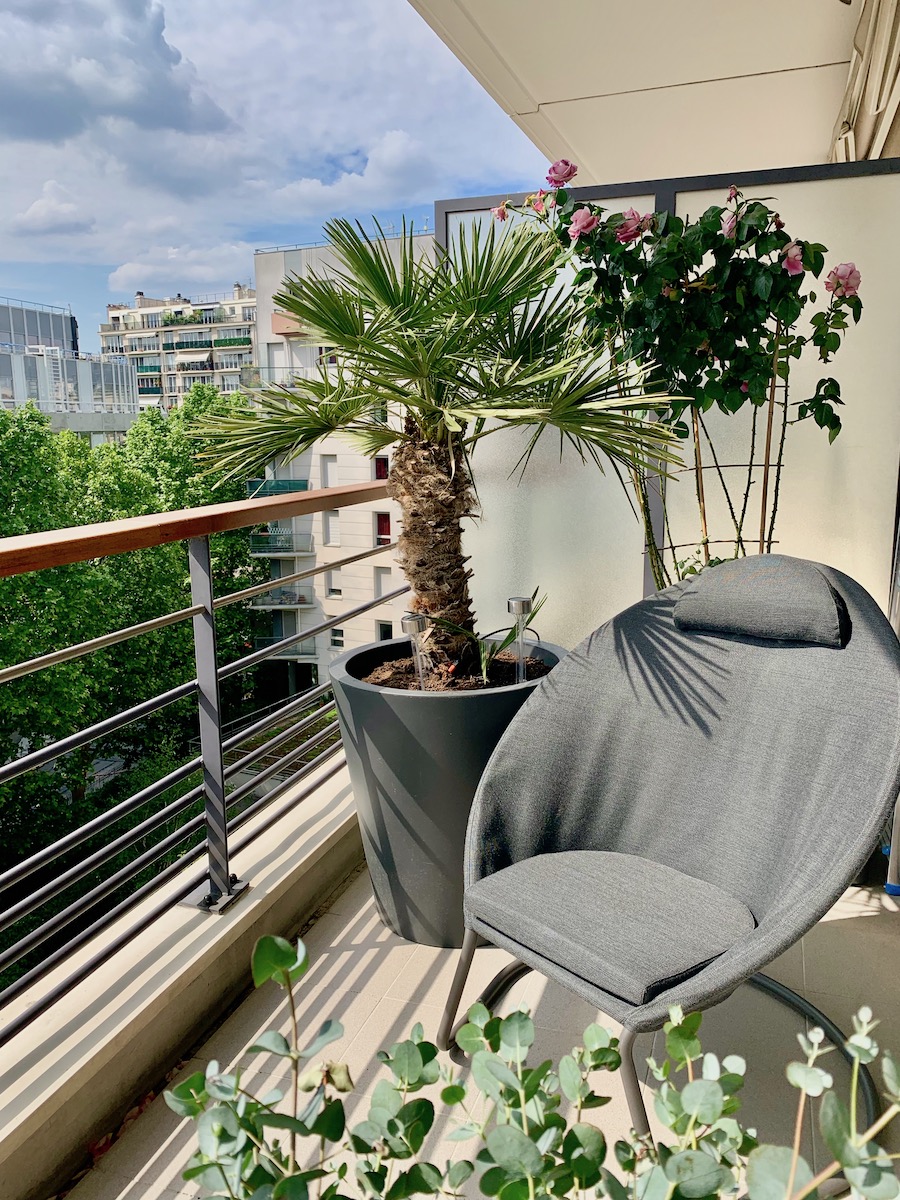 balcon terrasse plamier fauteuil rosier eucalyptus plante verte salon de jardin - blog déco - clemaroundthecorner