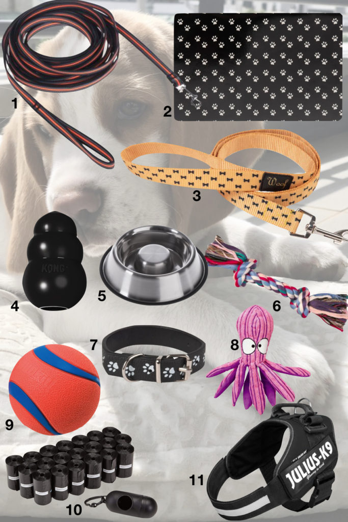 accessoire équipement chien longe laisse gamelle anti glouton jouets distributeur ramasse crotte - blog déco - clematc