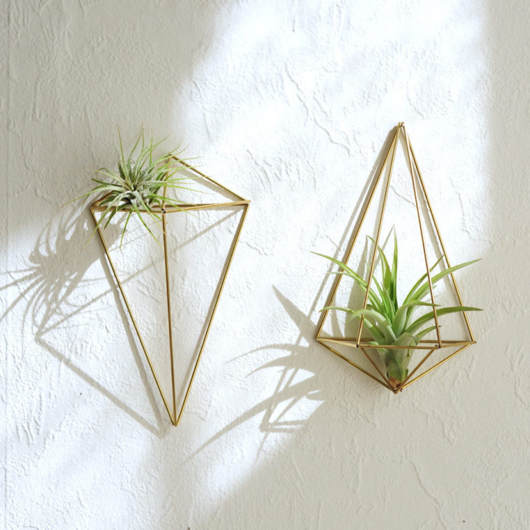himmeli diy décoration végétale plante verte succulentes - blog déco - clem around the corner