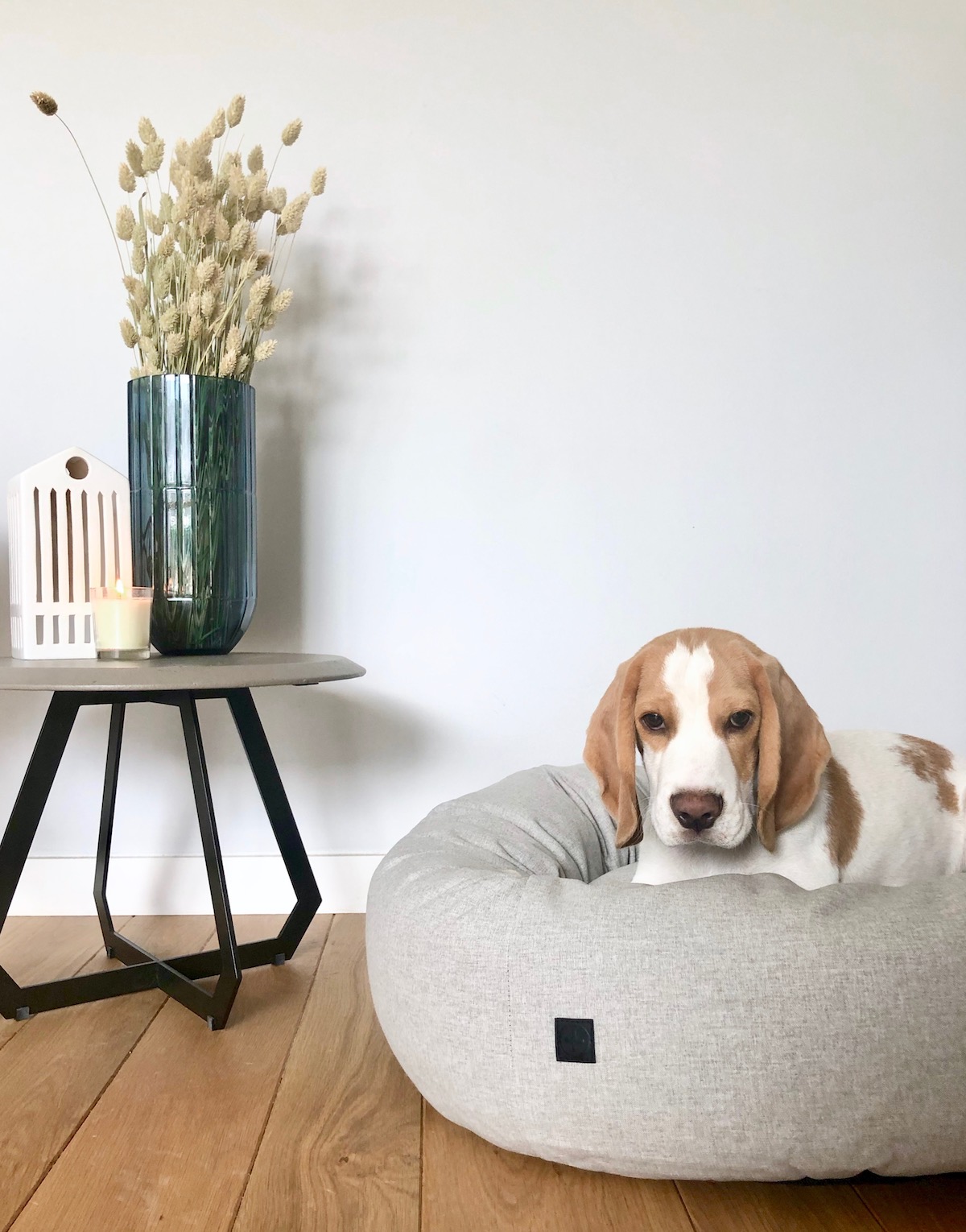 panier design chien beagle confortable déco clem around the corner