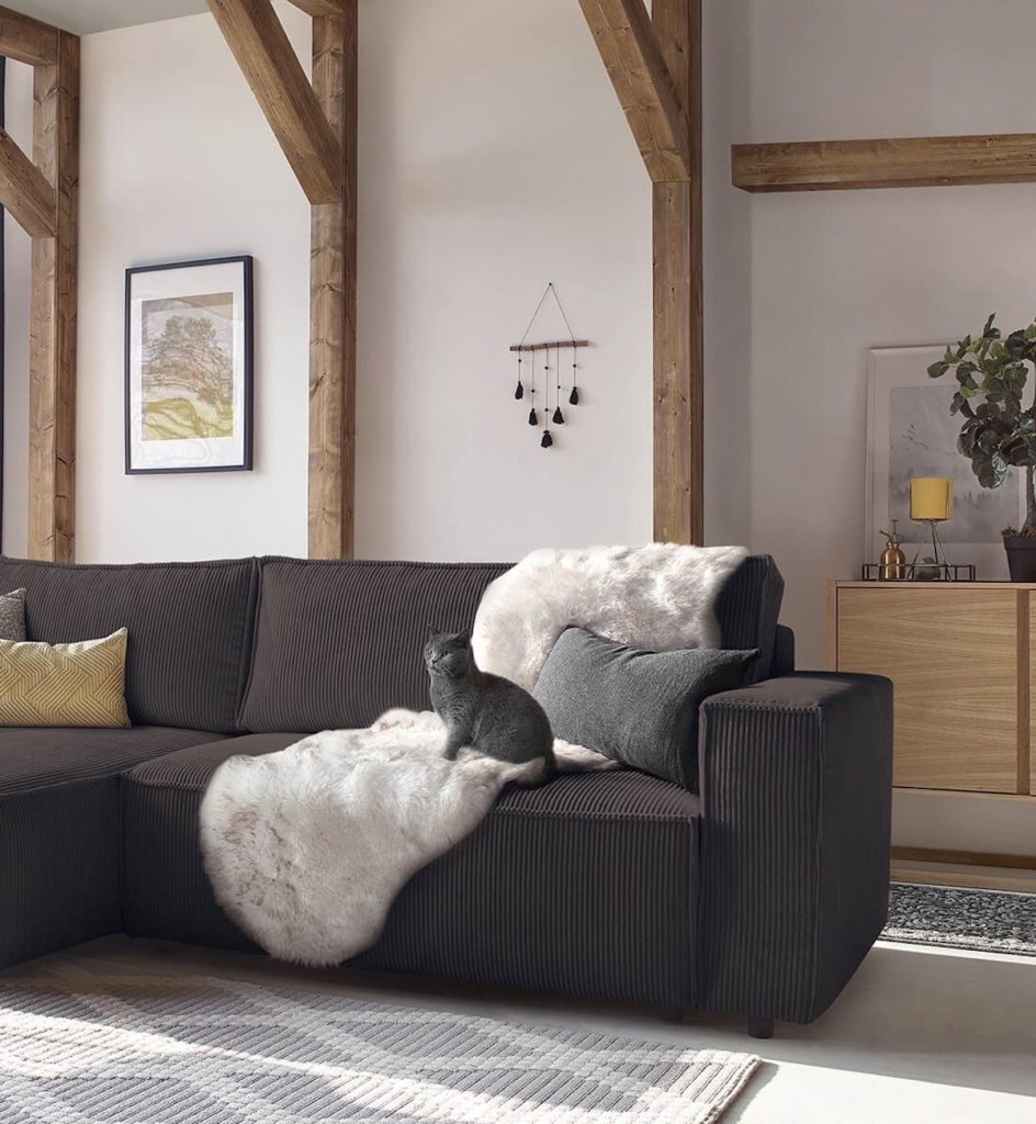 salon tendance chat plaid fausse fourrure coussin décoration intérieure - clematc