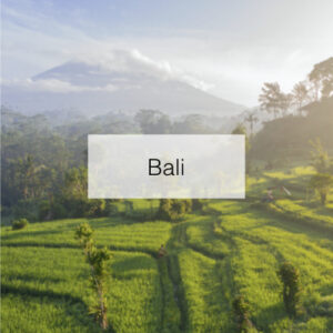 souvenir objet décoratif à ramener séjour à Bali conseil