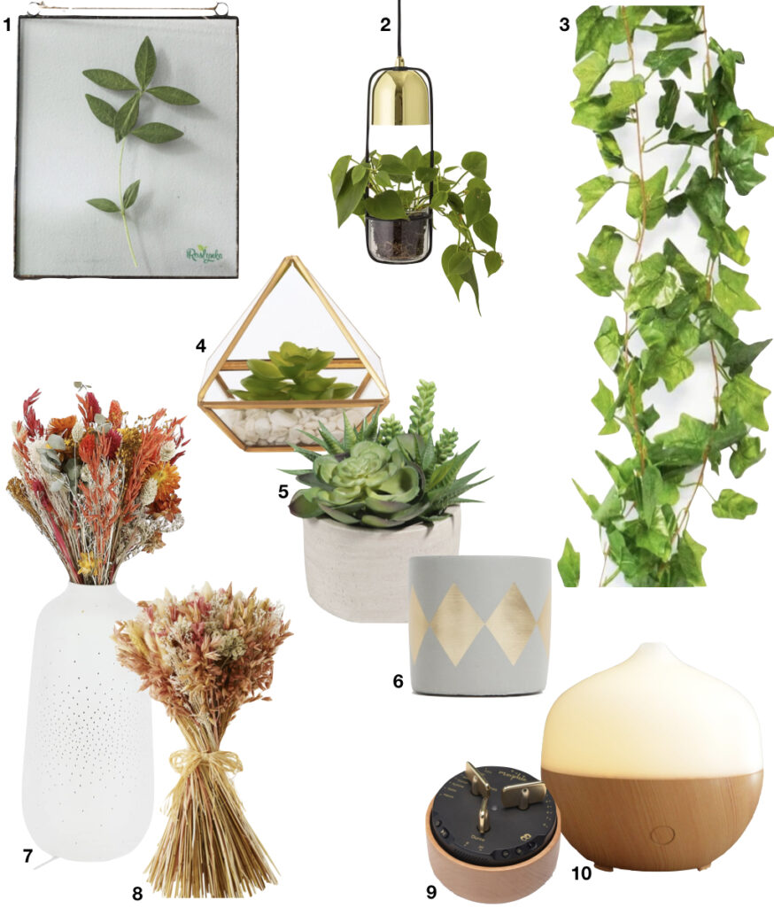 déco végétale plante grimpante vase lumineux plante grasse diffuseur d'huile essentielle