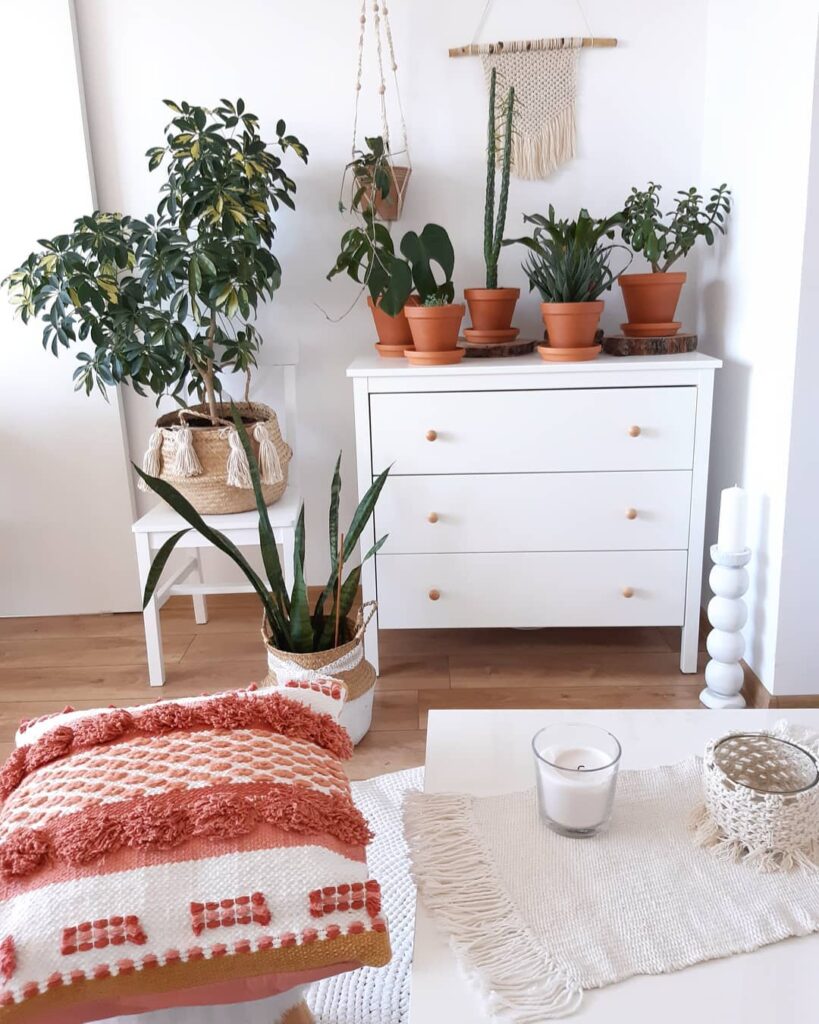 Laura Dekor commode collection plante verte intérieur cactus