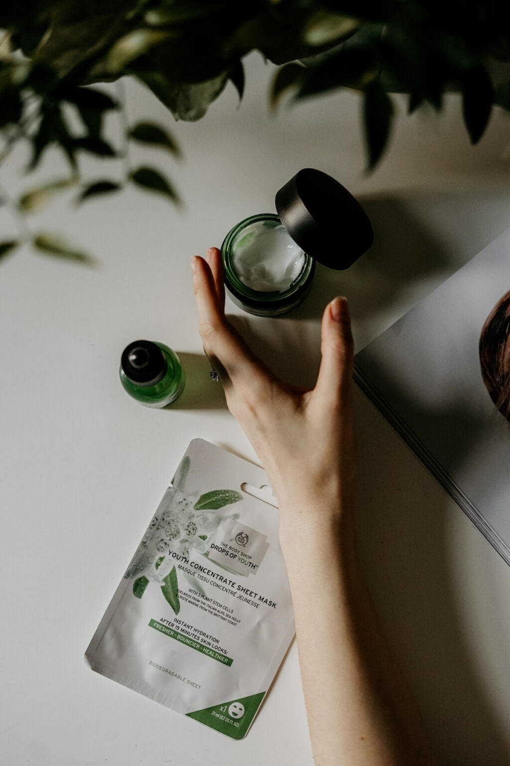 crème visage corps soin routine beauté naturelle plante verte