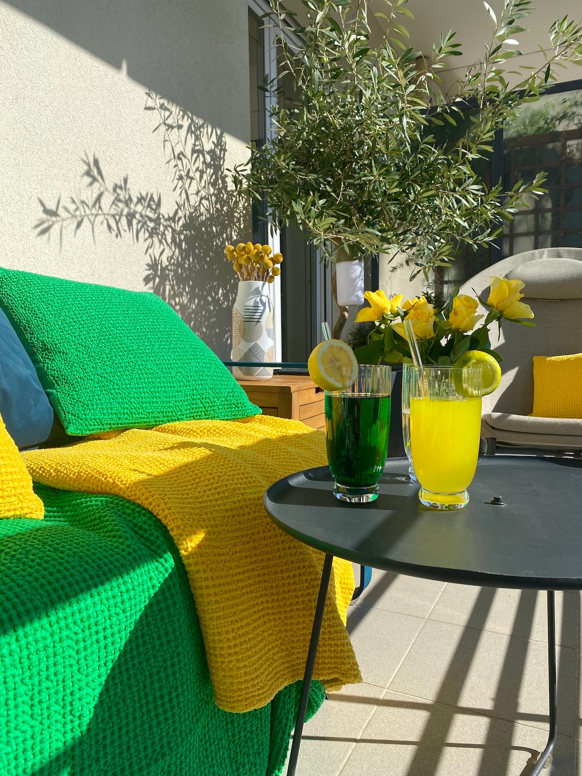 comment aménager terrasse colorée longueur canapé fauteuil coin salon jardin olivier en pot jardinière