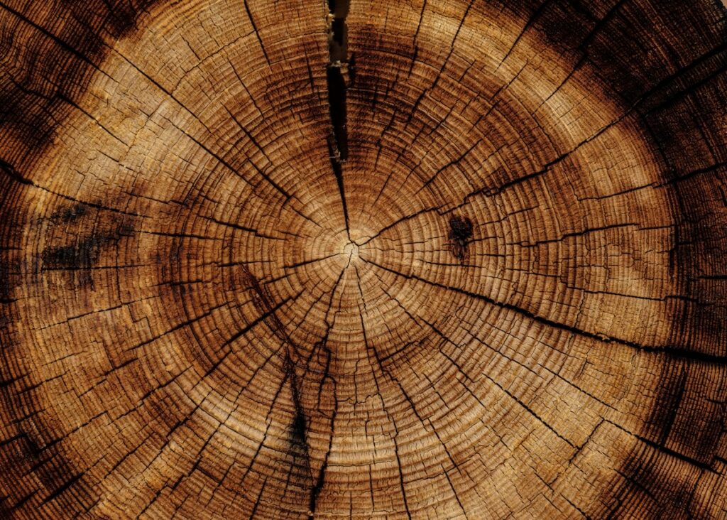 nature et Découvertes Église de Scientologie lien rumeur fondation 25 ans