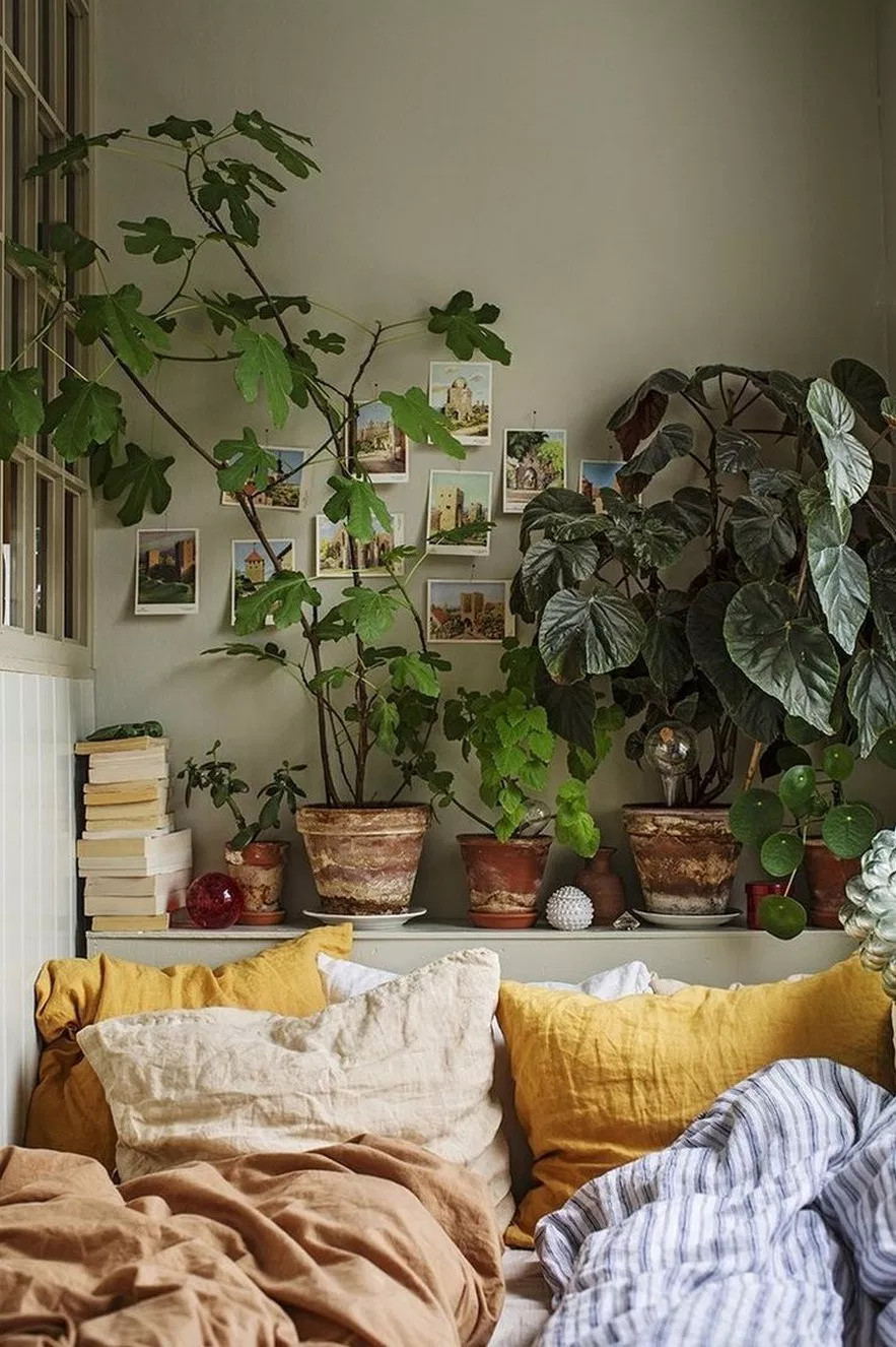 chambre draps lin plante verte mur vert kaki urban jungle