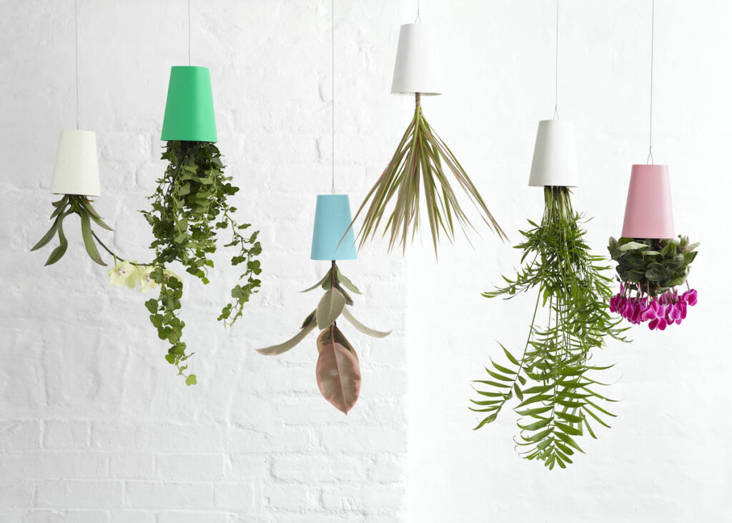 jardinière suspendue salon cache-pot renversé - blog déco - clemaroundthecorner