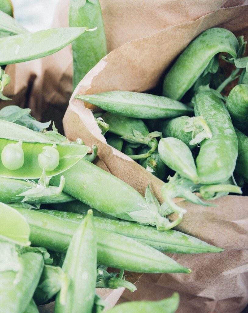petits pois vert jardinage semis légume entretien - blog déco - clemaroundthecorner