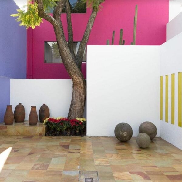 Maison architecte mur rose violet blanc jaune cactus cour extérieure