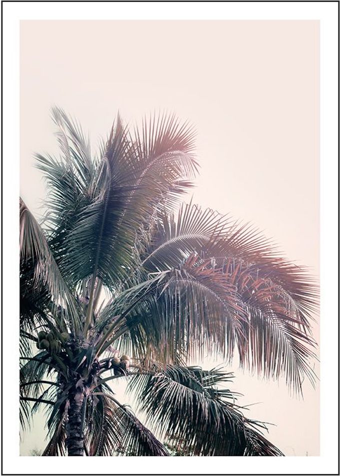 affiche palmier coucher de soleil rose effet Californie deco intérieure