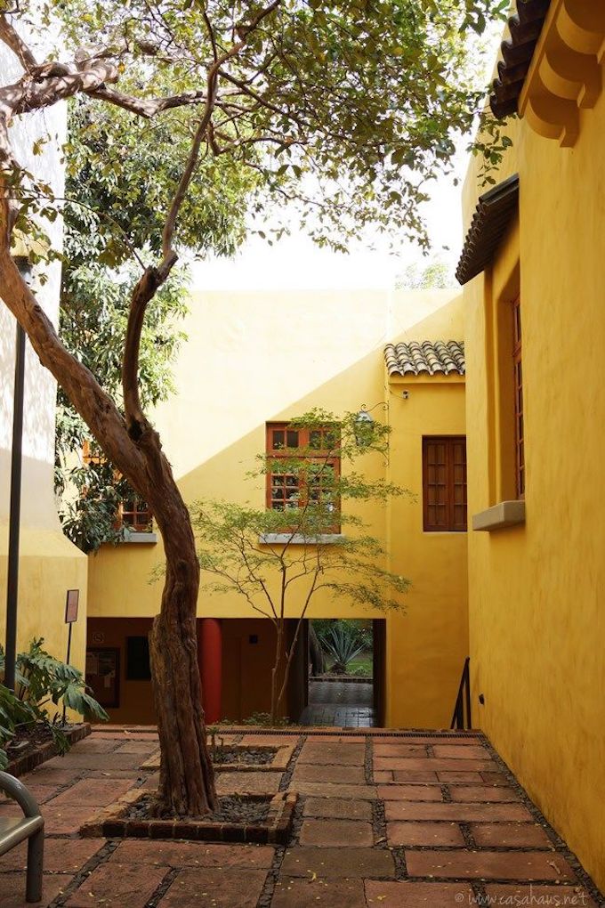 architecture contemporaine mexique murs jaunes arbres verts cour extérieure briques rouges