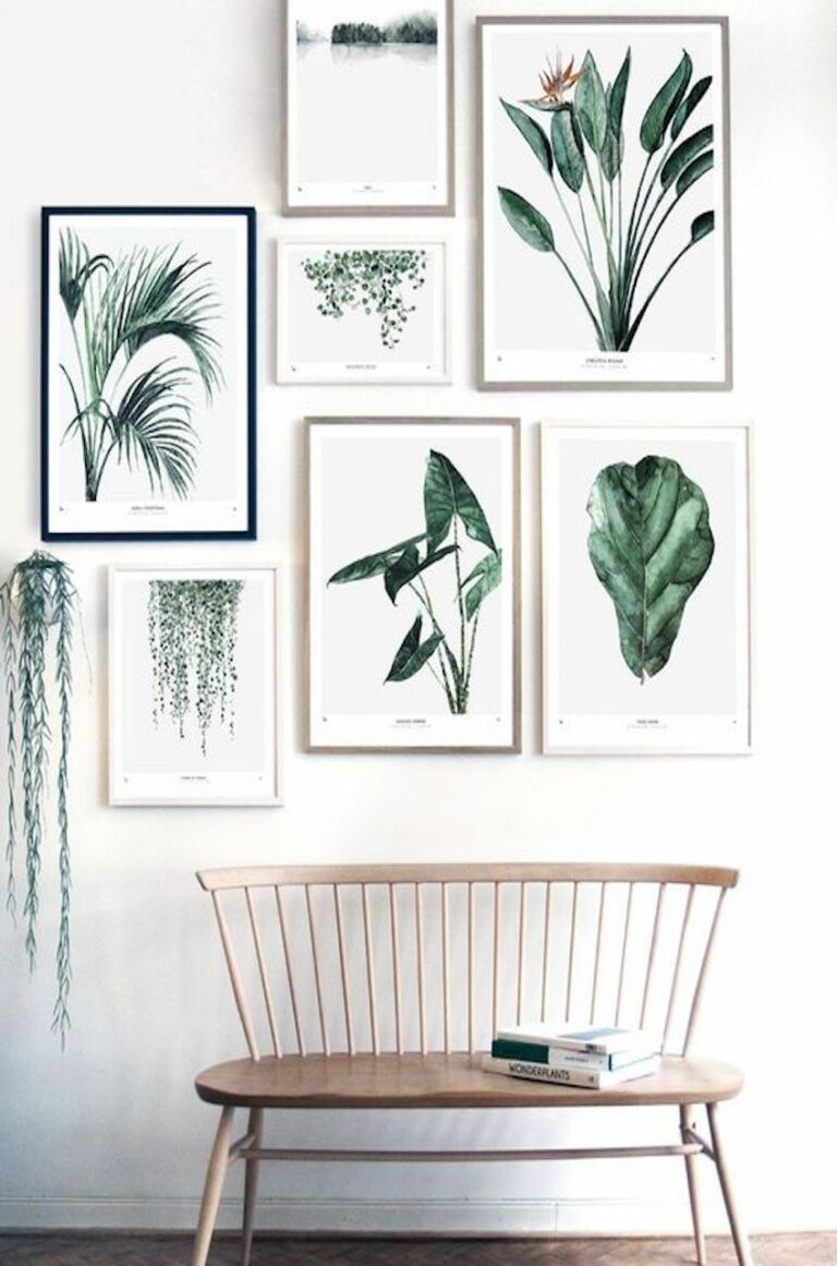 décoration intérieure mur de cadres végétal banc bois parquet plante verte