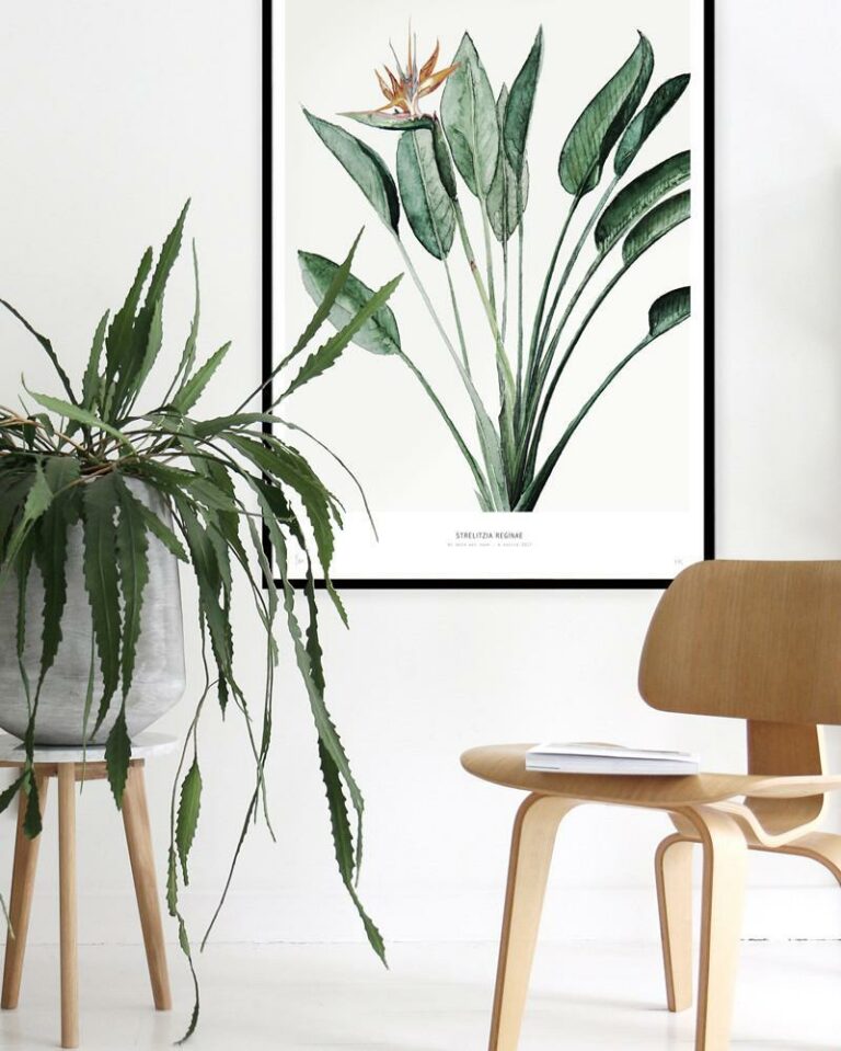 tableau deco urban jungle chaise bois clair