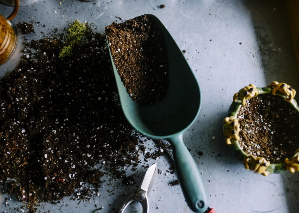 quoi planter en mai jardin potager verger ornement - blog déco - clemaroundthecorner