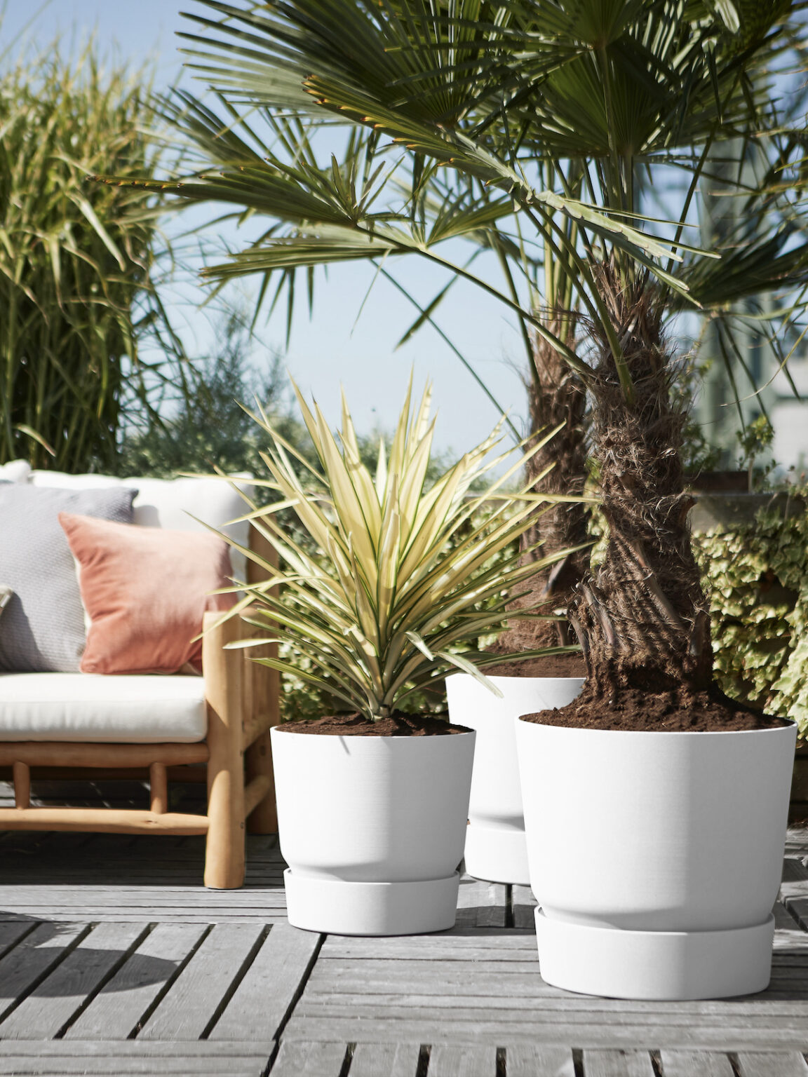 aménagement terrasse palmier bois palette déco