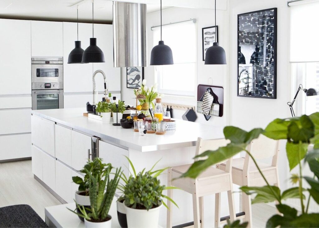 Decorer Sa Cuisine Avec Des Plantes