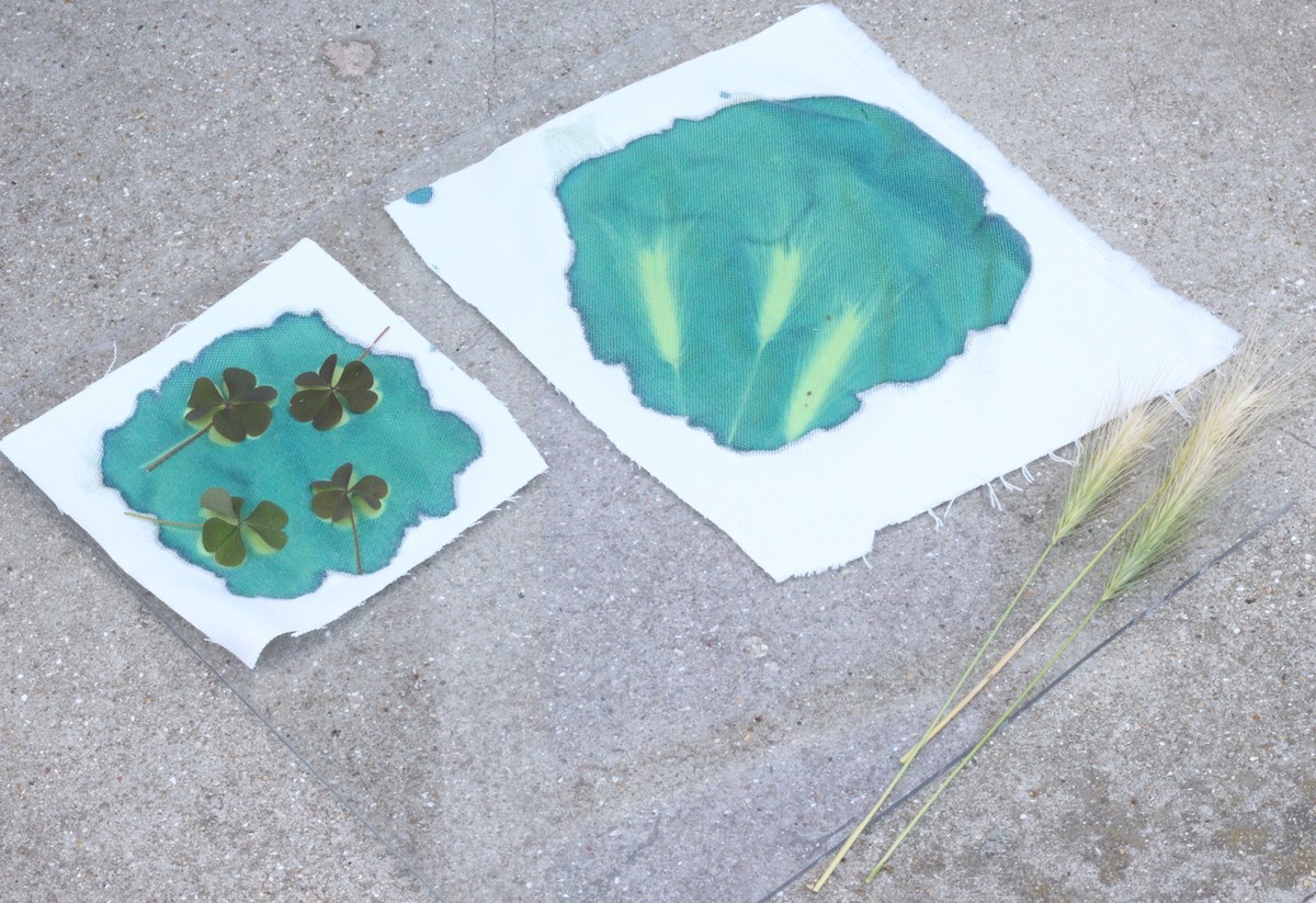 cyanotype impression sur tissu diy bouquet fleur fanée upcycling