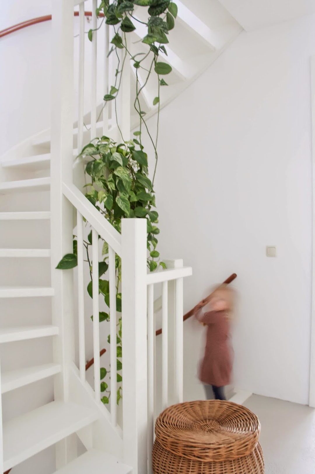 escalier blanc spiral plante verte panier rond osier