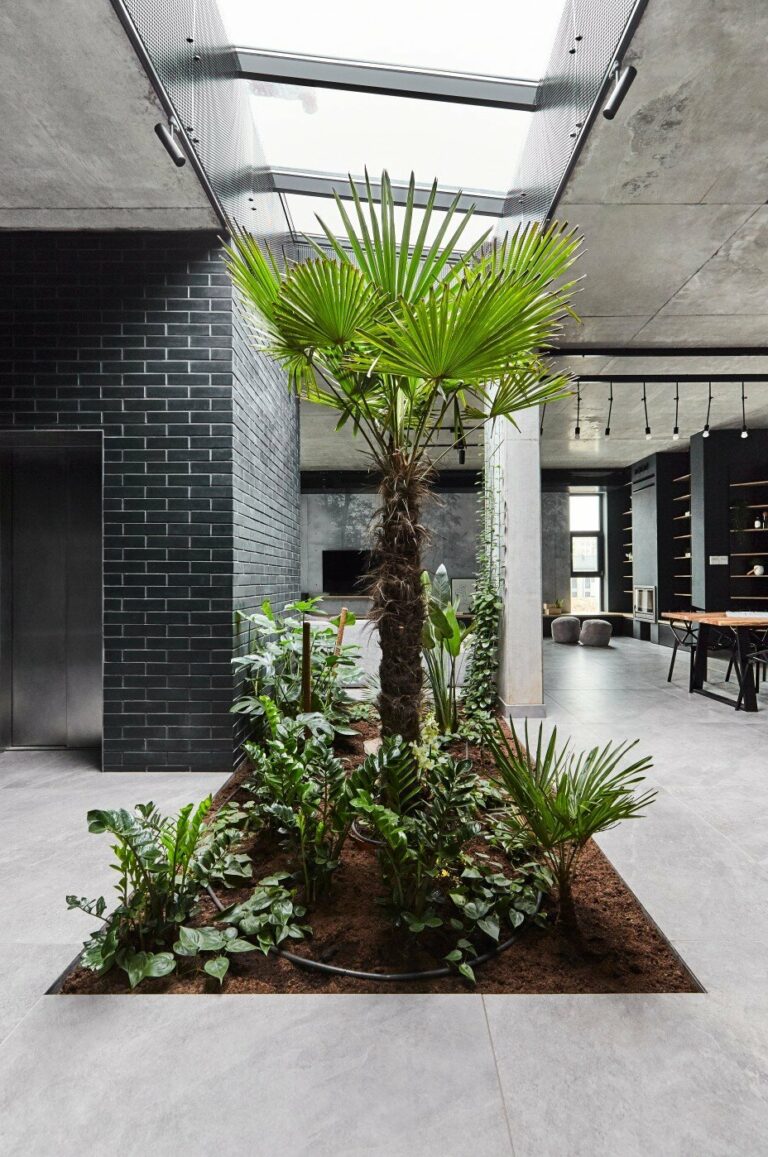 oasis végétale centre salon dalle béton puits lumière