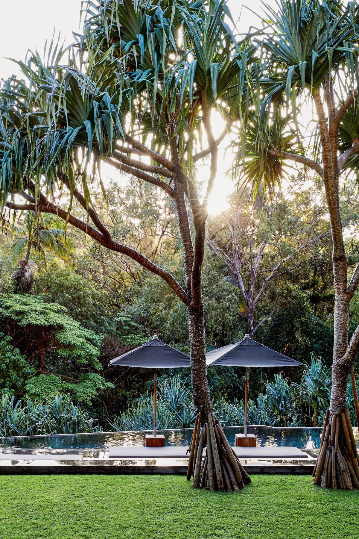 jardin tropical piscine débordement inspiration Bali Indonésie