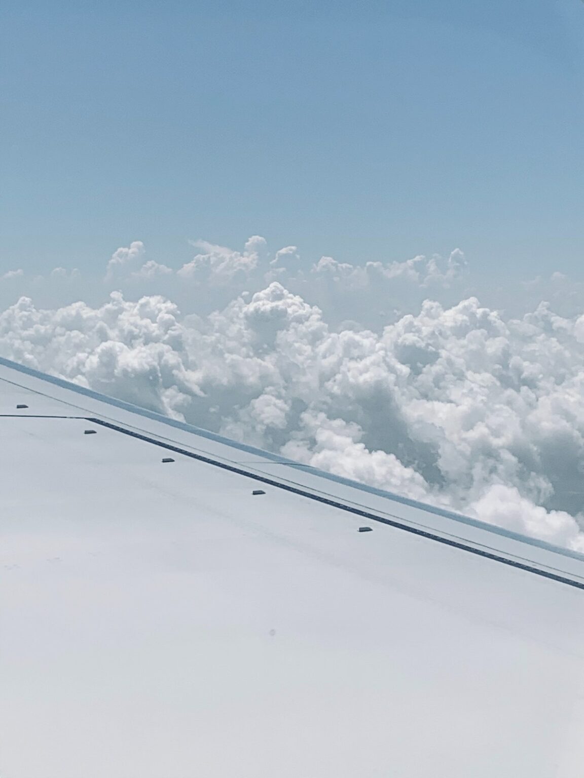 Opodo Prime avis montant réduction vol avion hotel