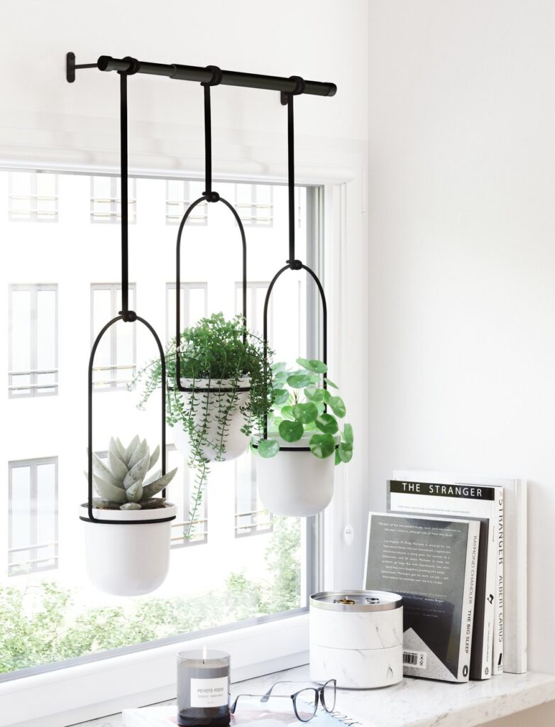 deco intérieure plante verte pot suspendu deco