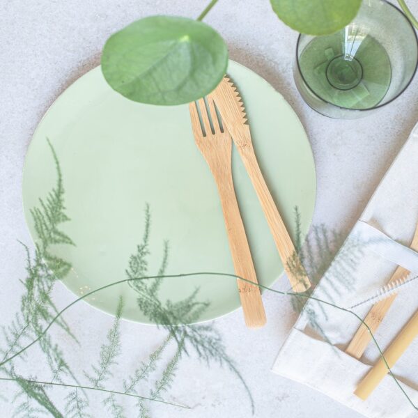 assiette ronde vert clair vert pastel couvert bois astuce bio écolo
