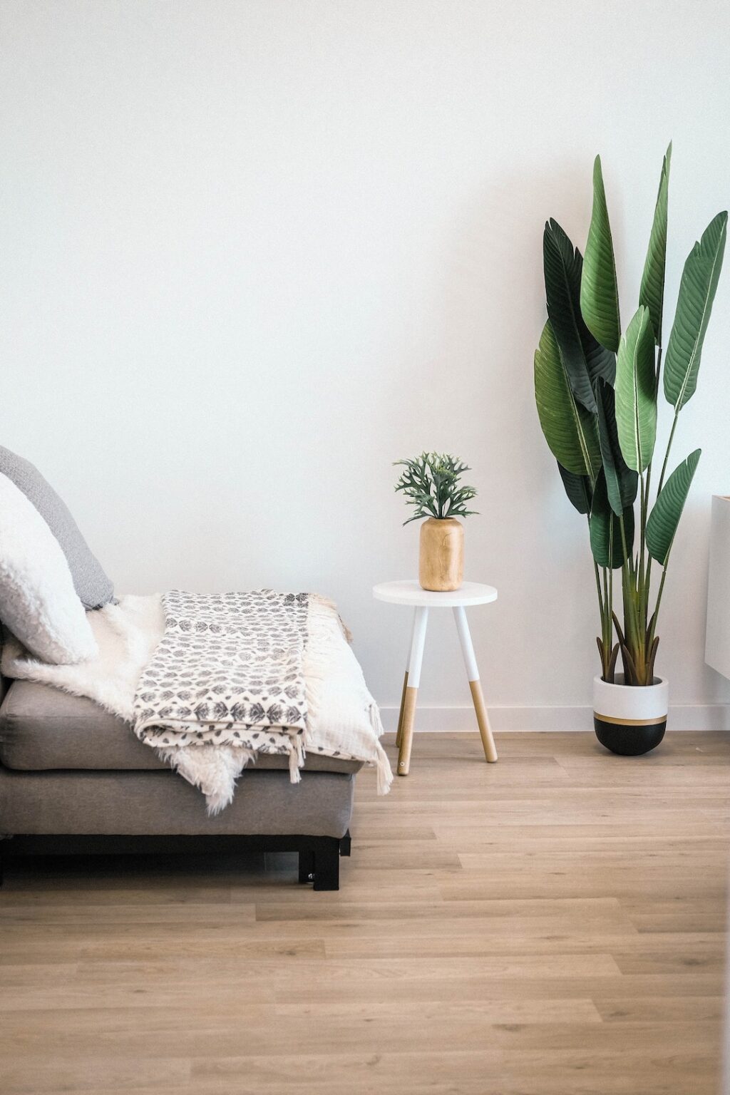 chambre lit canape gris fin parquet bois plantes verte