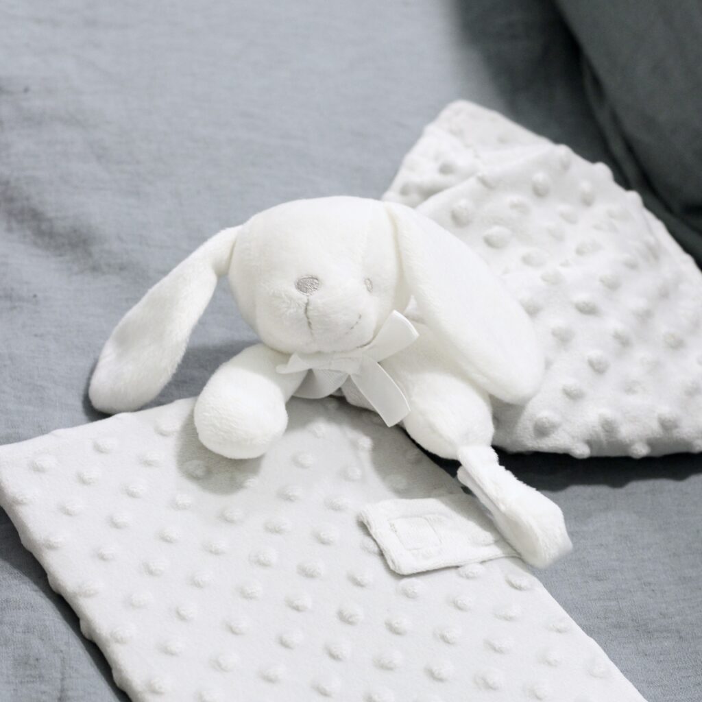 doudou protège carnet de santé lapin