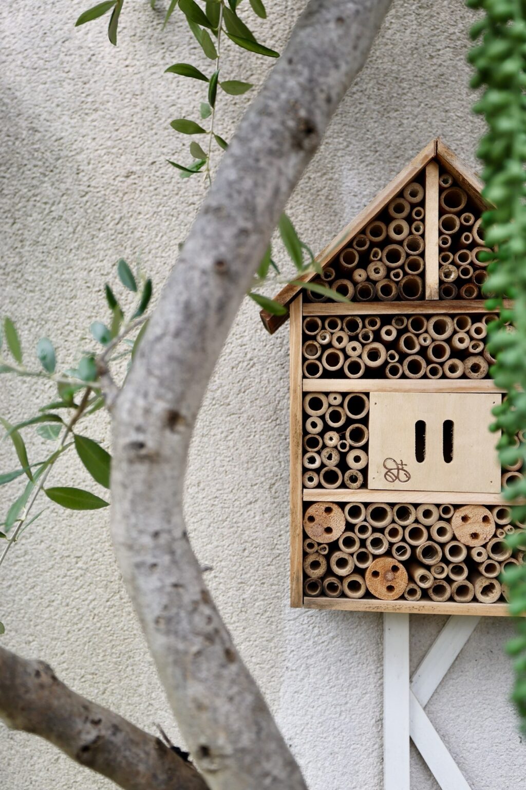 fixer objet lourd sans percer extérieur bois hôtel insecte