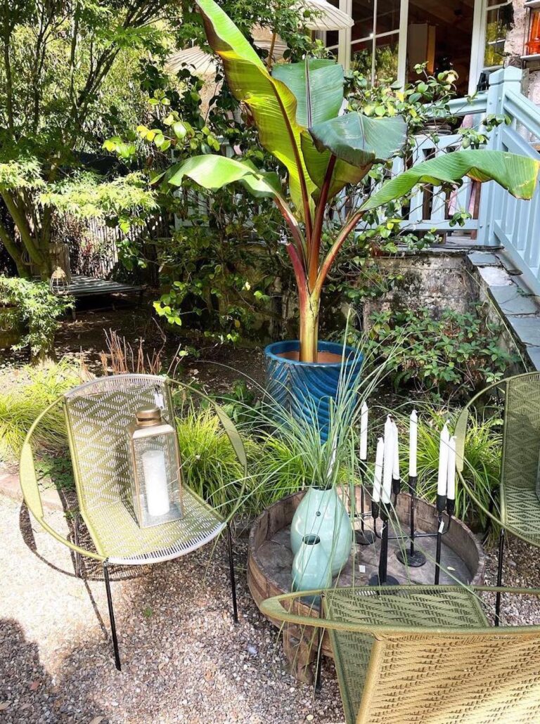 jardin exterieure deco vegetal naturelle