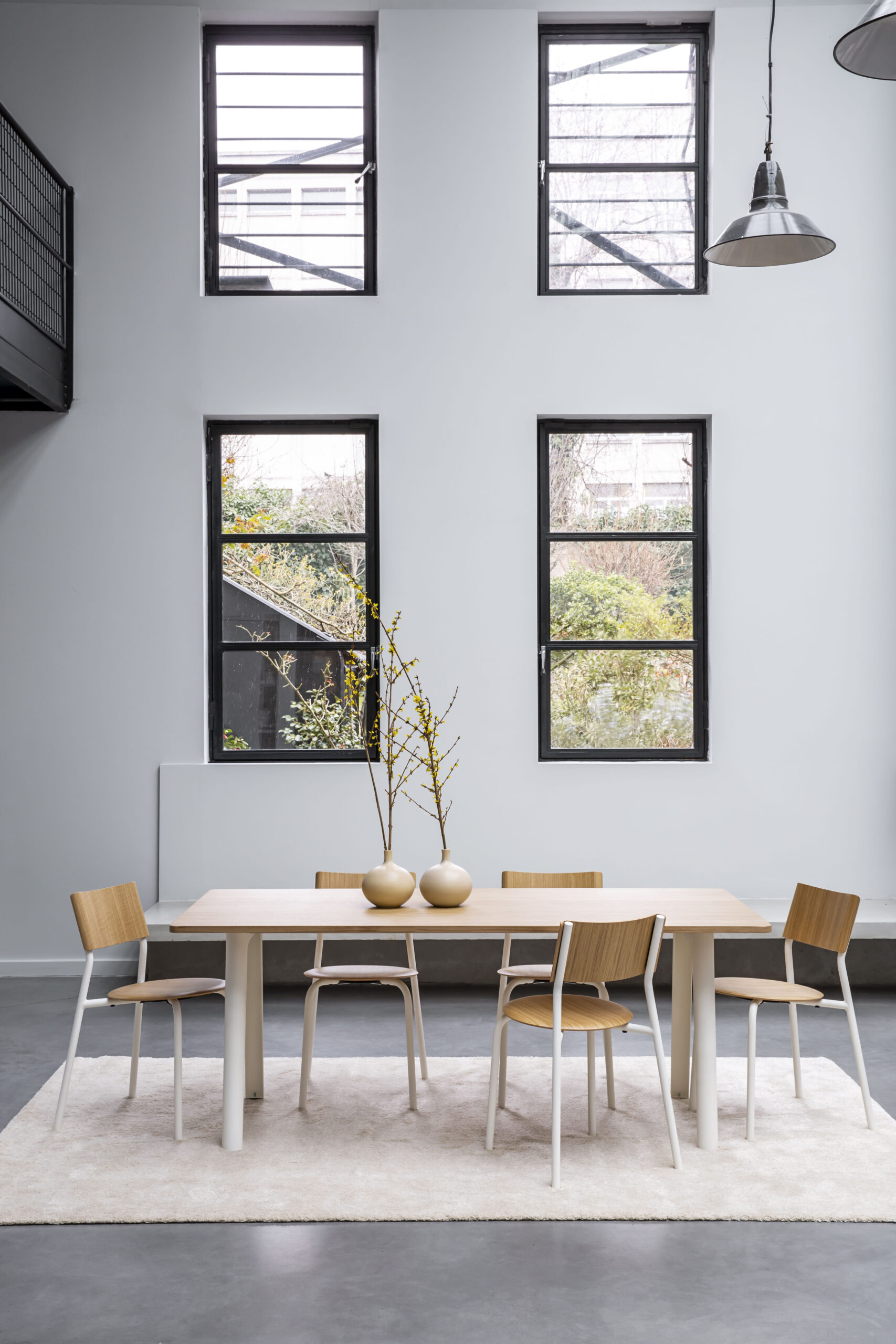 table rectangulaire moderne gris tapis blanc salon moderne