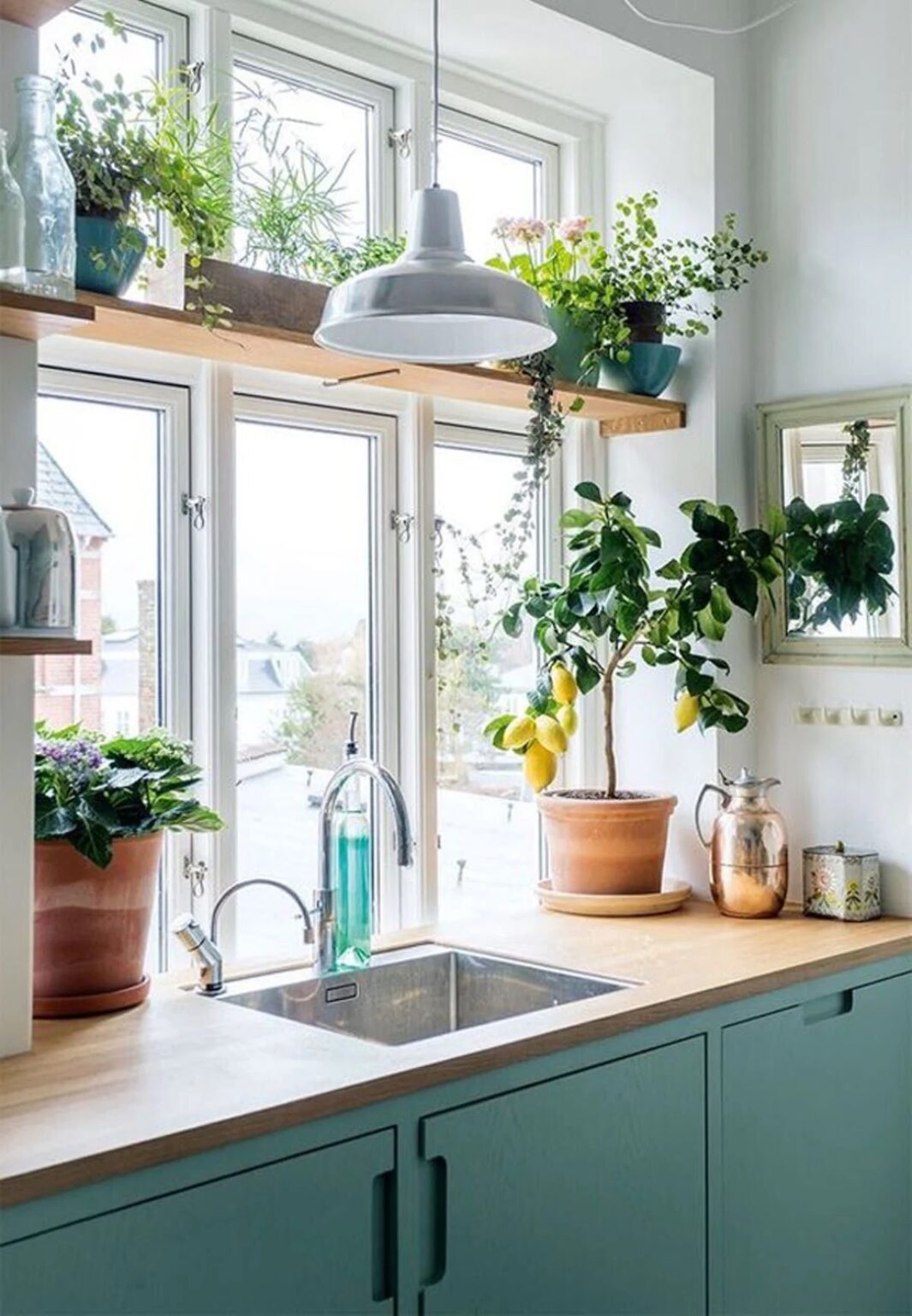 cuisine plante verte deco lumineuse vegetale fenetre