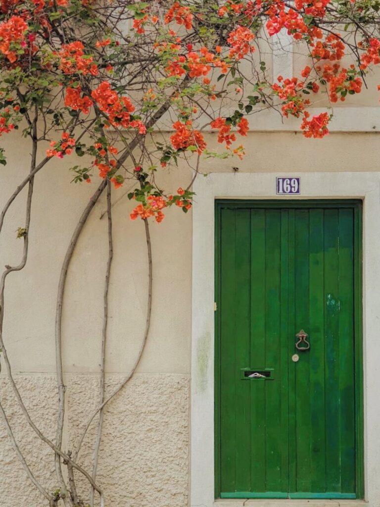 porte exterieure verte plante grimpante orange mur beige