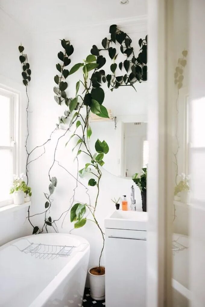 salle de bain blanche plante verte inspiration deco naturelle