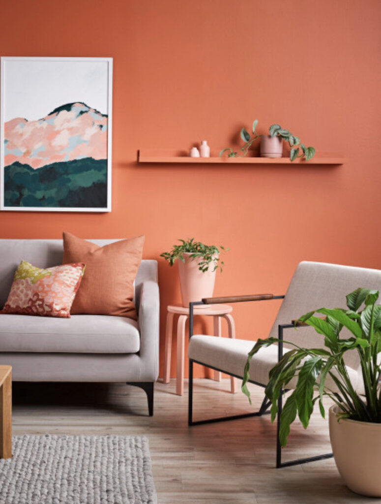 salon couleur terracotta idee deco boheme lumineux moderne